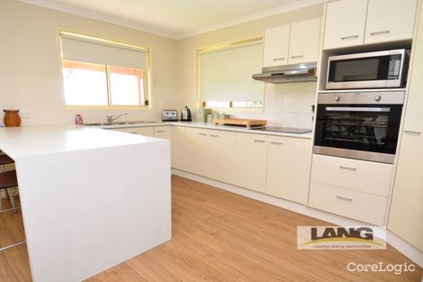 Property photo of 29 Blueash Crescent Oxenford QLD 4210