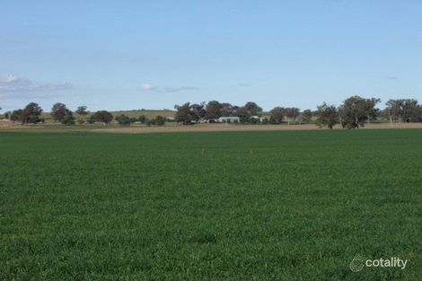 3 Gooloogong Siding Rd, Gooloogong, NSW 2805