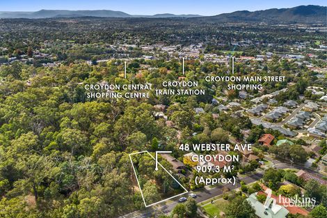 48 Webster Ave, Croydon, VIC 3136