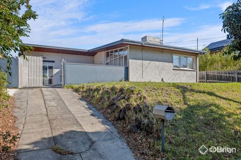 18 Tulip St, Black Rock, VIC 3193