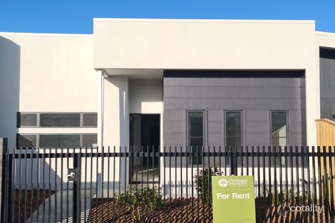 24 Golden Cres, Palmview, QLD 4553