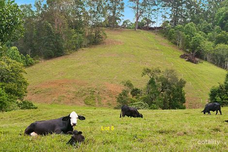 Property photo of Tarcoola Lane Uki NSW 2484