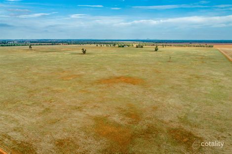 245 Roping Pole Rd, Ganmain, NSW 2702