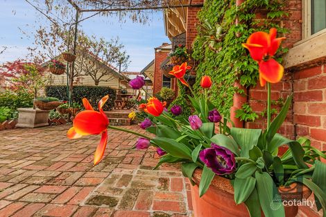 Property photo of 12 Tyler Street Echuca VIC 3564