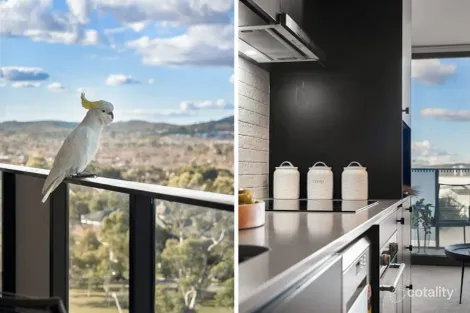 Property photo of 711/90 Swain Street Gungahlin ACT 2912