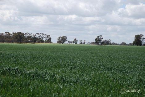 1155 Cosgrove Rd, Katandra, VIC 3634