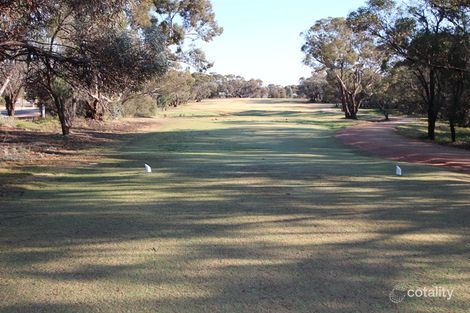 Property photo of 11 Jellett Road Berri SA 5343