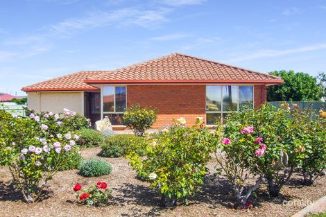 Property photo of 53 Croser Avenue Aldinga Beach SA 5173