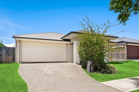 26 Affinity Way, South Ripley, QLD 4306