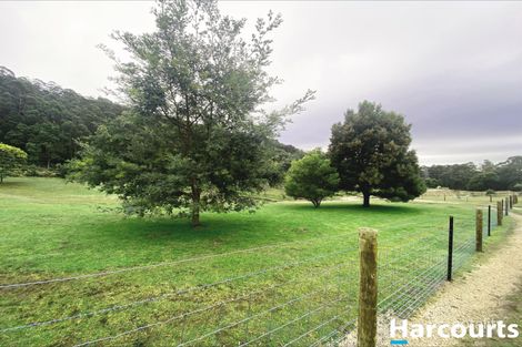 55 Squibbs Rd, Spreyton, TAS 7310