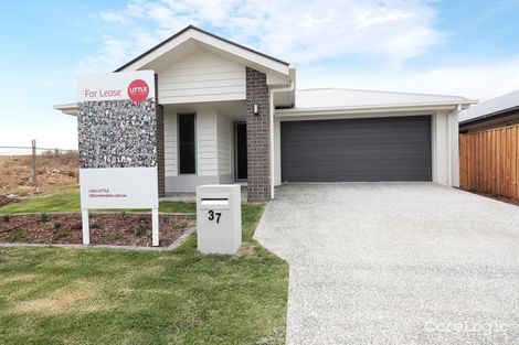 Property photo of 37 Scheyville Crescent South Ripley QLD 4306