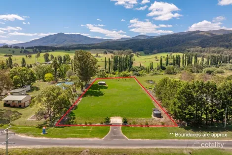 11 Towamba St, Towamba, NSW 2550