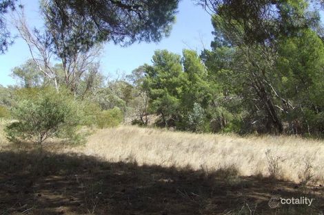 Lot 147 Palmer Rd, Beetaloo Valley, SA 5523