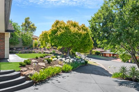 Property photo of 9 Grylls Court Wynn Vale SA 5127