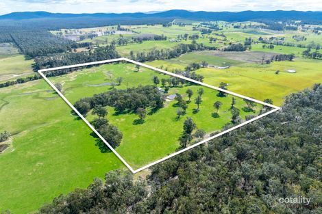 366 Wairewa Rd, Wairewa, VIC 3887