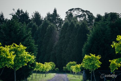 Property photo of 550 Oxleys Hill Road Berrima NSW 2577