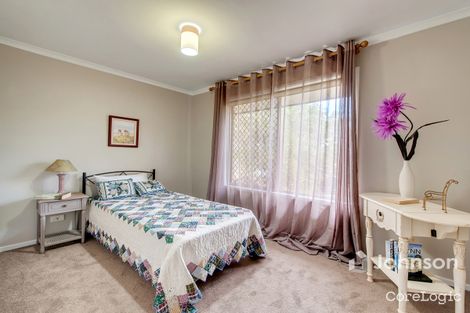 Property photo of 27 Dargie Avenue Collingwood Park QLD 4301