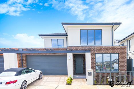 Property photo of 117 Billy Buttons Drive Narre Warren VIC 3805
