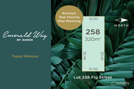 Property photo of 3 Fig Street Mount Barker SA 5251