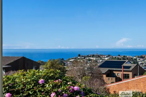 20 Hillfarm Dr, Park Grove, TAS 7320