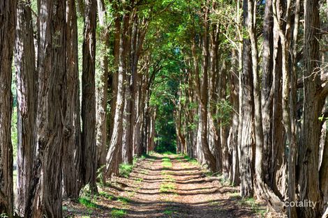 13 Maitland Bay Dr, Killcare Heights, NSW 2257