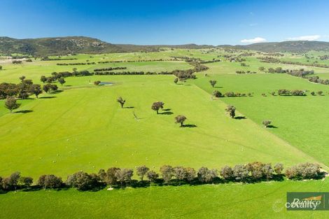 161 Burges Lane, Holbrook, NSW 2644