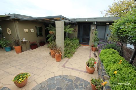 6 Monkman St, Chapman, ACT 2611