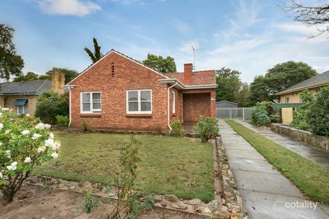 59 Pine Ave, Glenelg North, SA 5045