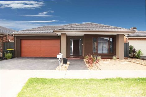 Property photo of 13 Lupin Street Mernda VIC 3754