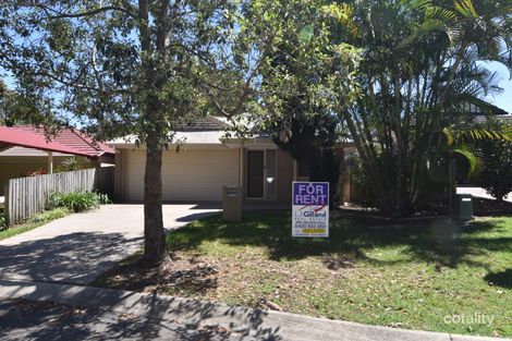 Property photo of 1 Tom Place Birkdale QLD 4159
