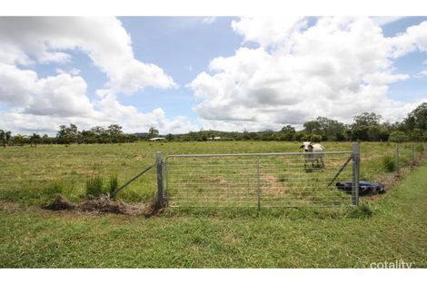 Property photo of 258 Malone Road Mareeba QLD 4880
