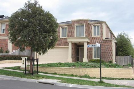 60 Lemont Ave, Mount Waverley, VIC 3149