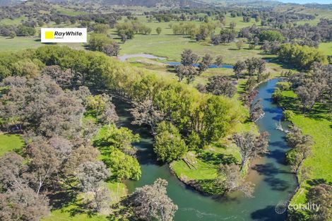 880 Gocup Rd, Gocup, NSW 2720