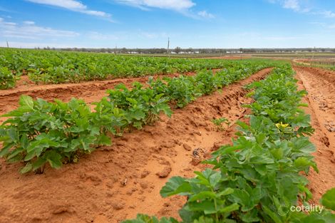 Property photo of 121 Elephant Trunk Road Cobdogla SA 5346