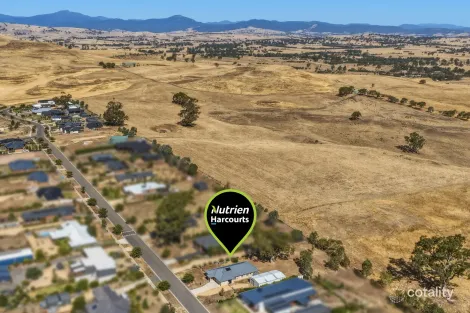 Property photo of 40 Donovans Way Mansfield VIC 3722