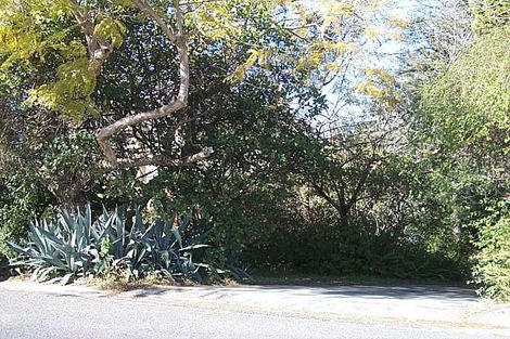 3 Carnarvon Rd, Roseville, NSW 2069