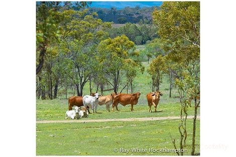 71 Hendy Dr, Glenlee, QLD 4711