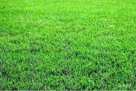 8 Elliott Pde, Lynbrook, VIC 3975