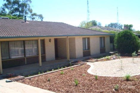 21 Mortimer Rd, Berri, SA 5343