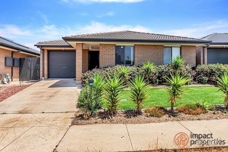 Property photo of 48 Rob Riley Circuit Bonner ACT 2914