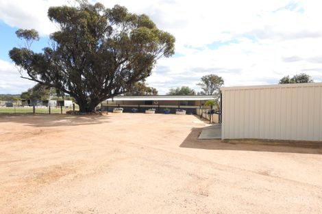 Property photo of 1 Carter Road Cunderdin WA 6407