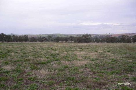 542 Back Brawlin Rd, Cootamundra, NSW 2590