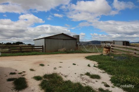 Property photo of 35529 Tasman Highway Scottsdale TAS 7260