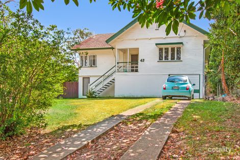 Property photo of 43 Francis Terrace Taringa QLD 4068