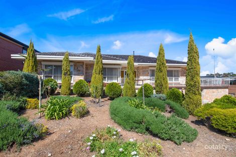 Property photo of 116 Montacute Road Hectorville SA 5073