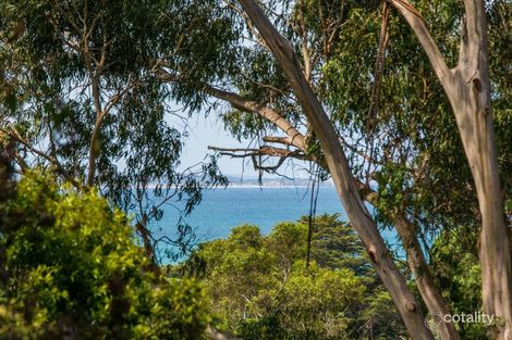 Property photo of 25 Grand Parade Lorne VIC 3232