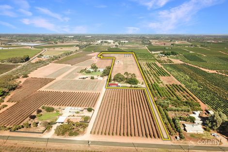 Property photo of 141 Mortimer Road Monash SA 5342