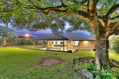 Property photo of 4 Walnut Court Calamvale QLD 4116