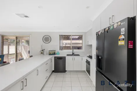 Property photo of 9 Jeremy Way Cecil Hills NSW 2171