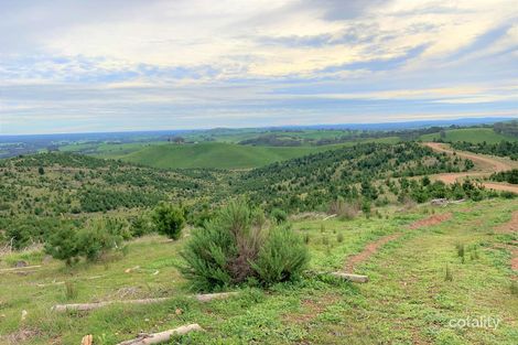 320 Bostock Rd, Lurg, VIC 3673